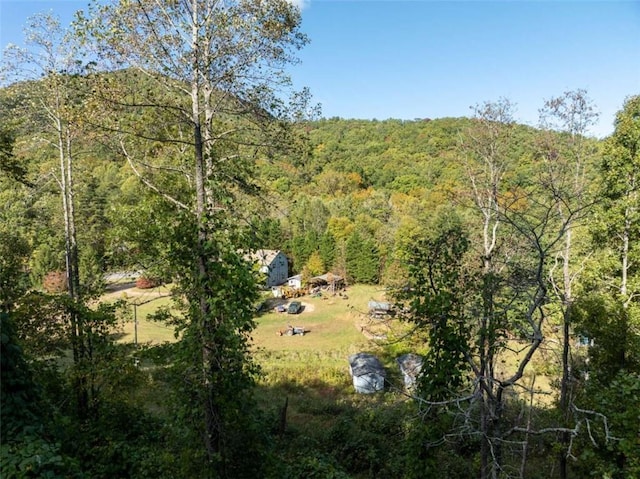 view of local wilderness