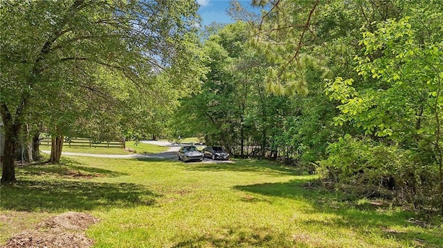 view of grassy yard