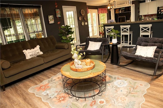 1473 Wildwood Way, Hampton, GA 30228 - living area with wood finished floors, ornamental molding, french doors, and ceiling fan