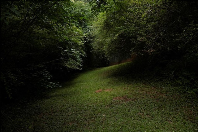 1473 Wildwood Way, Hampton, GA 30228 - view of grassy yard featuring a forest view