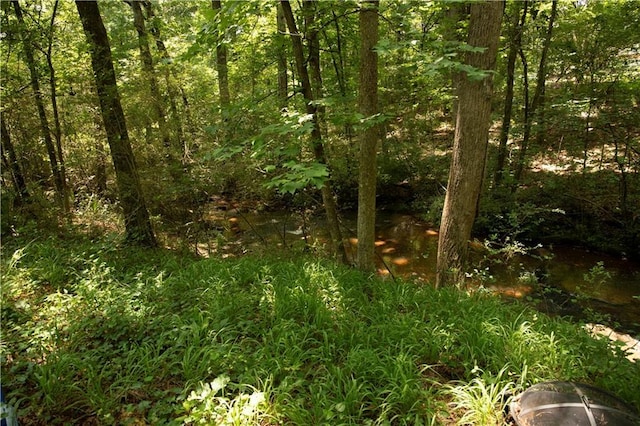 1473 Wildwood Way, Hampton, GA 30228 - view of undeveloped land