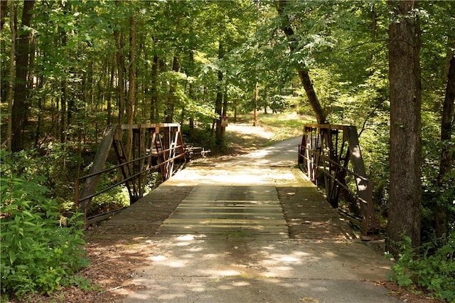 1473 Wildwood Way, Hampton, GA 30228 - view of property's community featuring a forest view