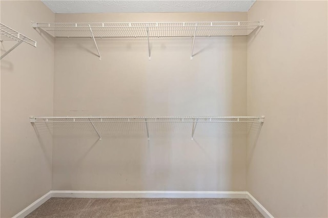 spacious closet with carpet