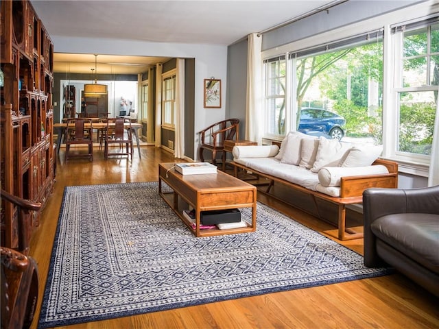 living area featuring wood finished floors