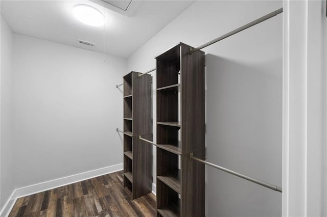 walk in closet featuring dark wood-style floors