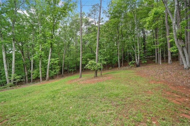 view of green lawn