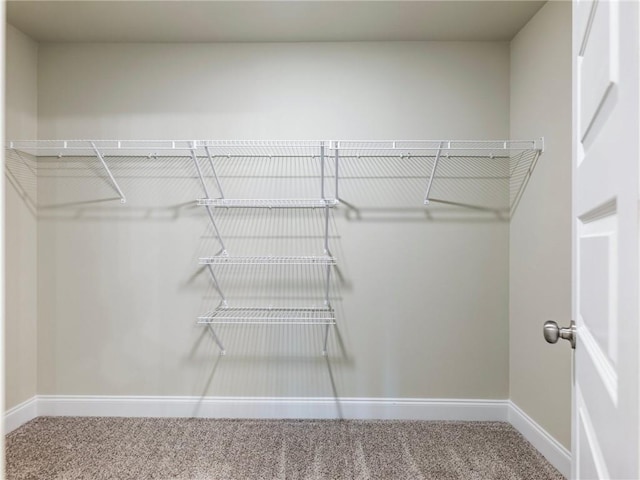 walk in closet featuring carpet