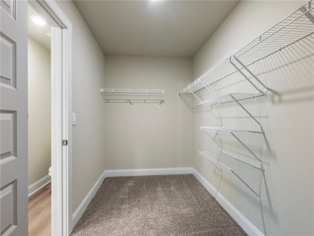 walk in closet featuring light colored carpet