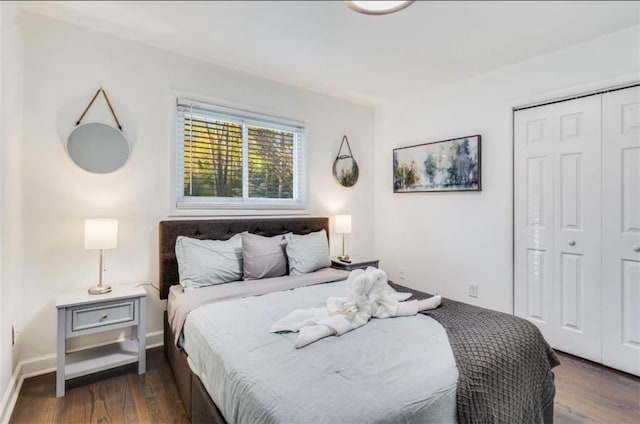 bedroom featuring dark wood-type flooring and a closet