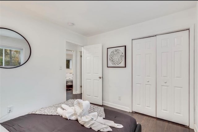 bedroom with dark wood-type flooring and a closet