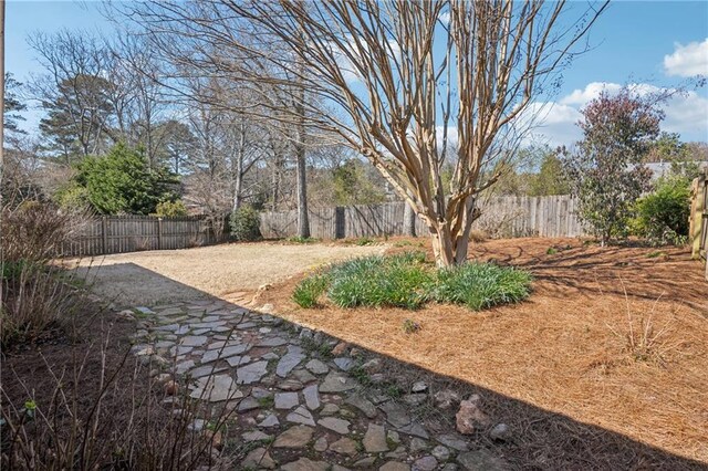 view of yard with a fenced backyard