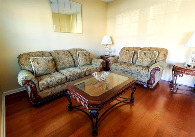 living room with wood-type flooring