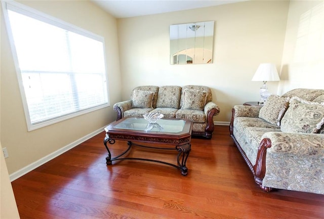 living room with dark wood-type flooring