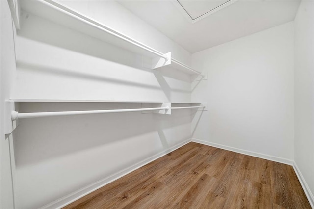 walk in closet featuring wood finished floors