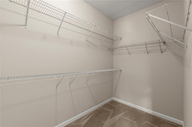 426 Pembrooke Cir Unit 426, Alpharetta, GA 30004 - walk in closet featuring carpet floors