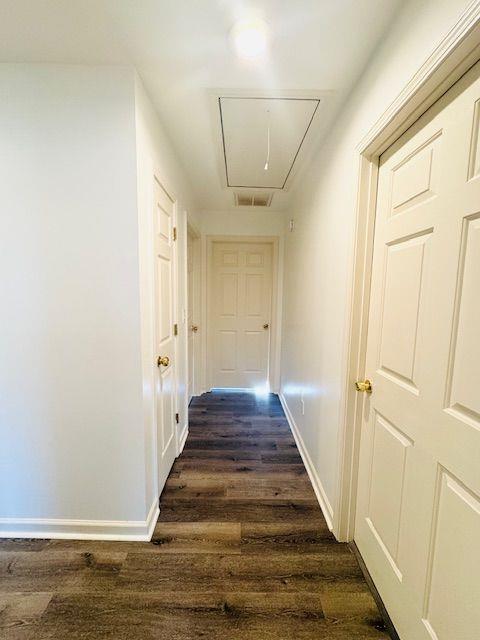 corridor with dark hardwood / wood-style floors