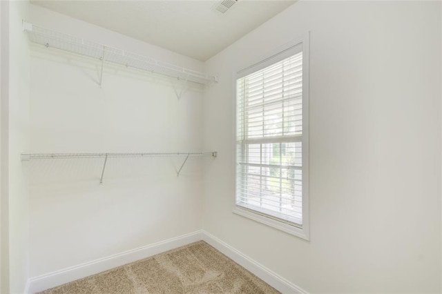 221 Glenview Trl, Griffin, GA 30224 - spacious closet with carpet flooring