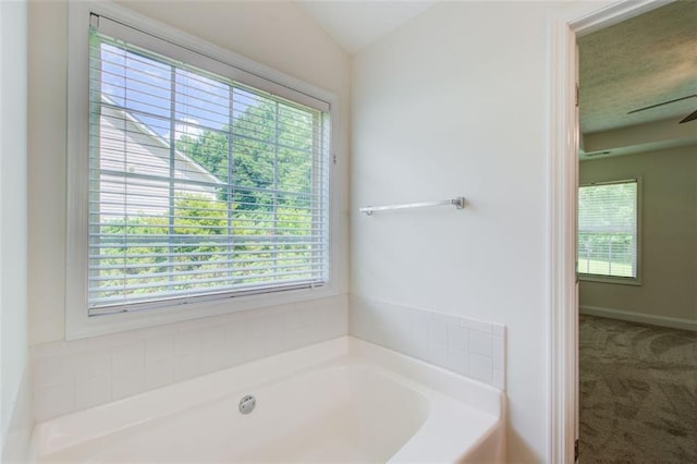 221 Glenview Trl, Griffin, GA 30224 - bathroom with plenty of natural light, a bath, and lofted ceiling