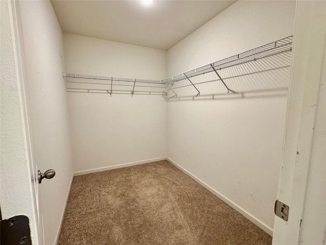 1606 Larkspur Trl, Conyers, GA 30012 - spacious closet featuring carpet flooring