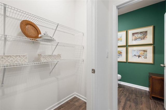 walk in closet featuring dark hardwood / wood-style flooring