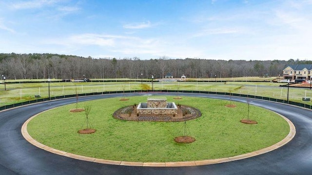 view of home's community featuring a yard