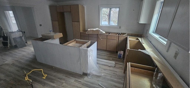 kitchen featuring light hardwood / wood-style flooring