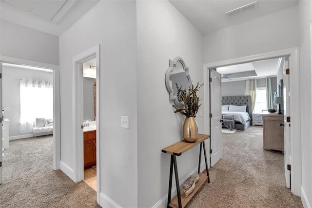 2953 Balvenie Pl, Acworth, GA 30101 - corridor featuring light carpet, attic access, and baseboards