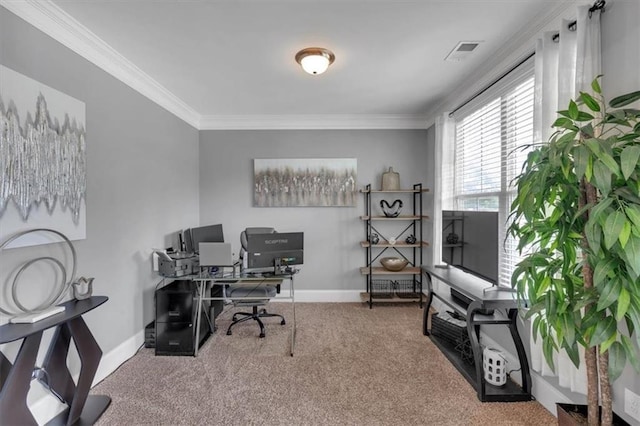 2953 Balvenie Pl, Acworth, GA 30101 - office space with carpet floors, crown molding, and baseboards