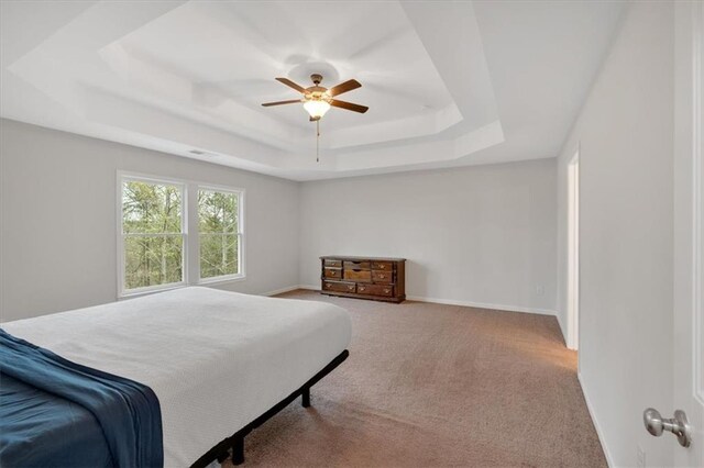 822 Pine Way, Dallas, GA 30157 - bedroom featuring a ceiling fan, a raised ceiling, carpet, and baseboards