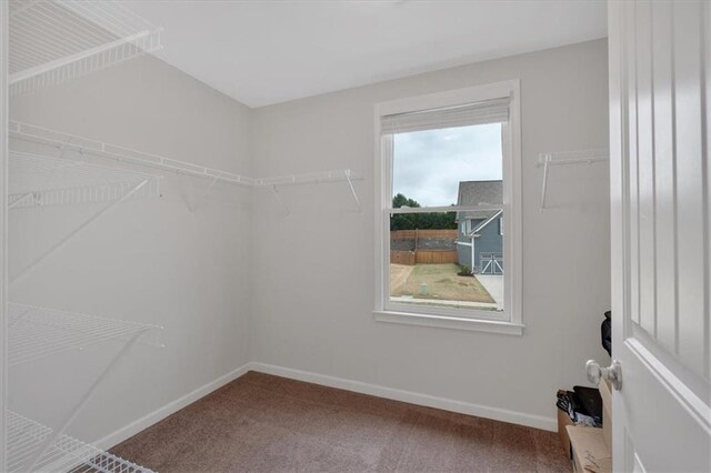 822 Pine Way, Dallas, GA 30157 - spacious closet featuring carpet flooring