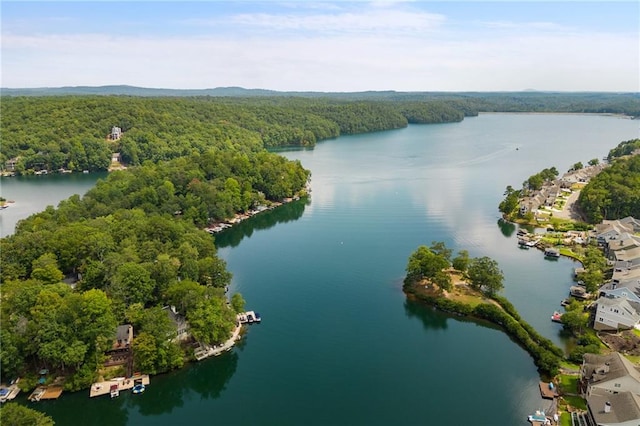 114 Narrows Loop, Waleska, GA 30183 - aerial view of a heavily wooded area and a nearby body of water