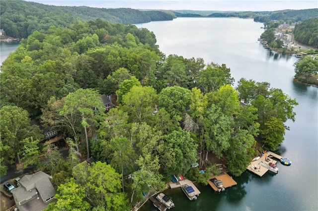 114 Narrows Loop, Waleska, GA 30183 - view of property location featuring a nearby body of water and a forest