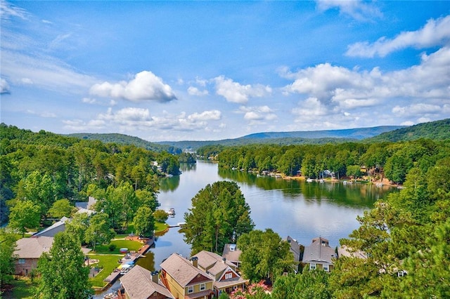 114 Narrows Loop, Waleska, GA 30183 - aerial view of a water and mountain view and a forest
