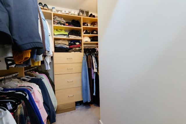 walk in closet featuring carpet flooring