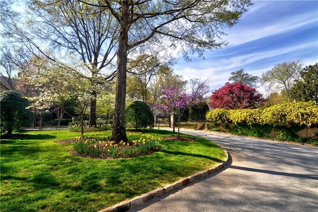 view of property's community featuring a yard