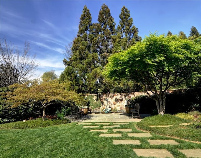 view of yard with a patio area