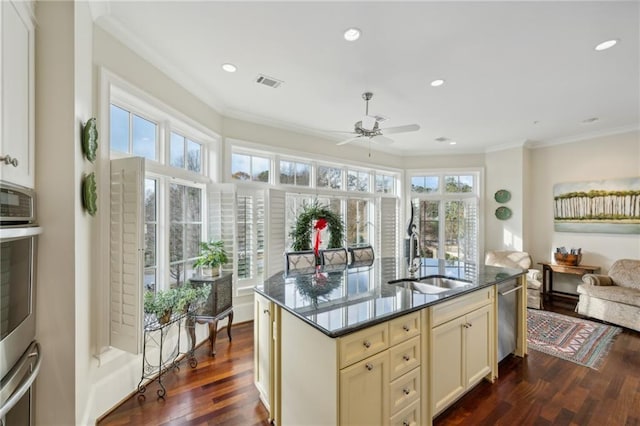 kitchen featuring dark hardwood / wood-style floors, a healthy amount of sunlight, sink, and a kitchen island with sink