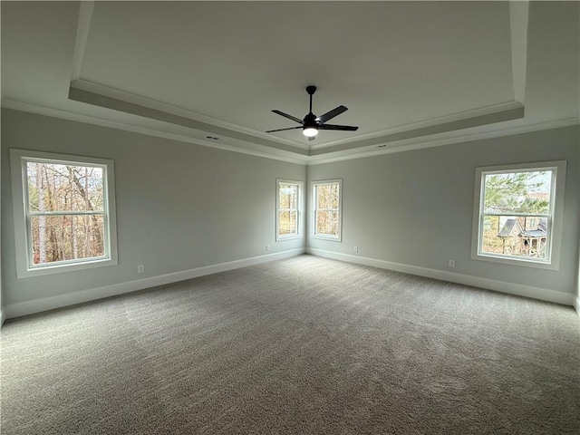 spare room with a wealth of natural light and a tray ceiling