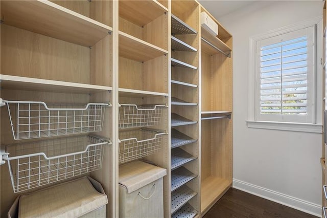 spacious closet with dark wood-type flooring