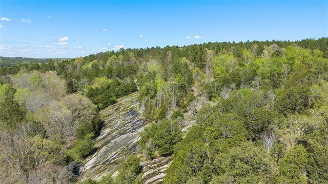 0 Atlanta Newnan Rd, Chattahoochee Hills, GA 30268