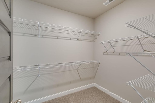 walk in closet featuring carpet flooring