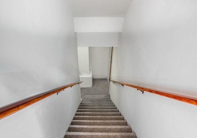 staircase with carpet flooring and a textured ceiling