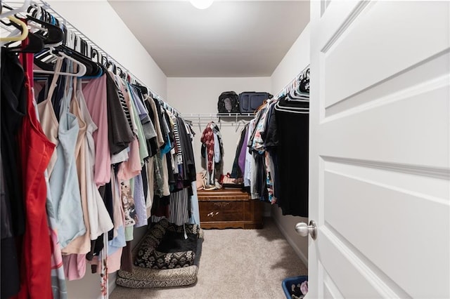 spacious closet featuring carpet flooring