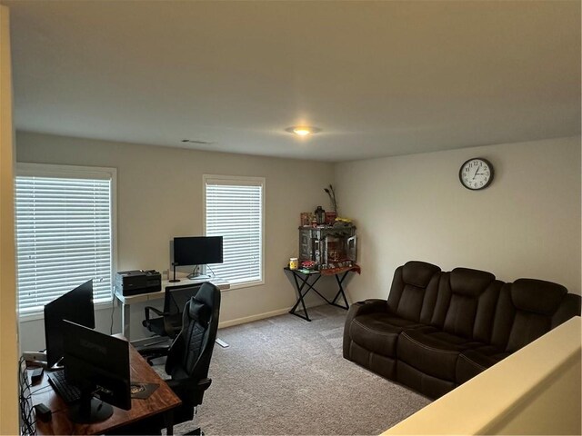 495 Sterling Creek Way, Loganville, GA 30052 - view of storage area