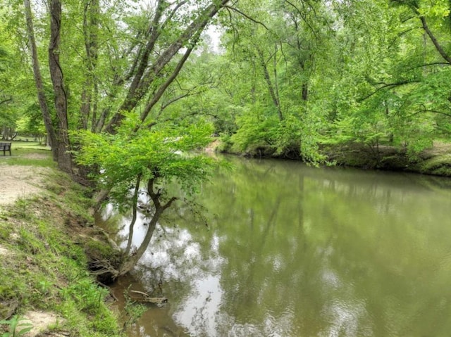 water view featuring a forest view