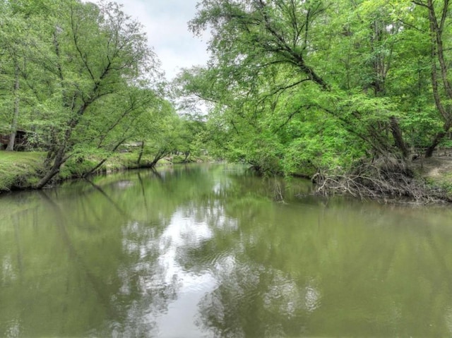 property view of water featuring a wooded view