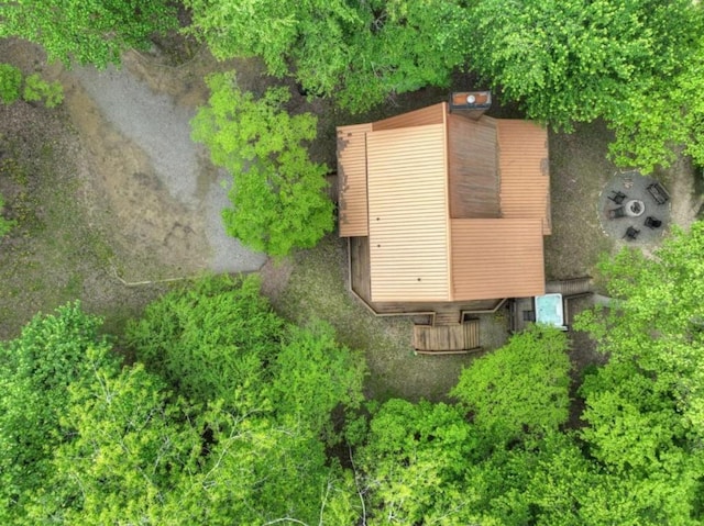 bird's eye view