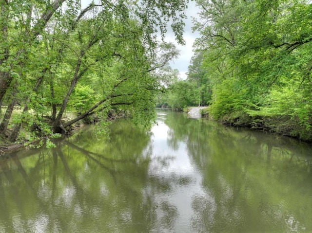 view of water feature with a forest view