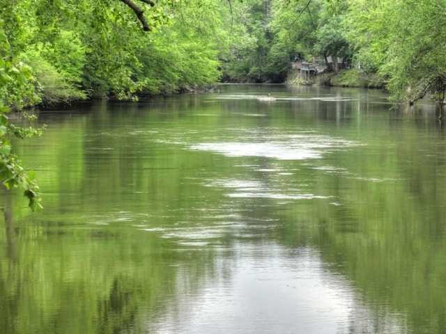 view of water feature featuring a forest view
