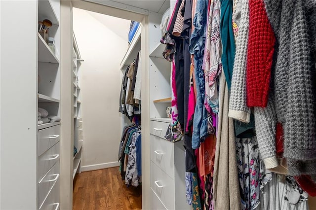 walk in closet featuring wood finished floors